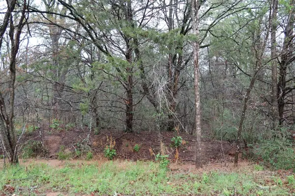 1034 Kawanui DR, Bastrop, TX 78602