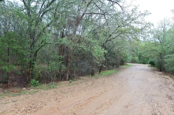 1034 Kawanui DR, Bastrop, TX 78602