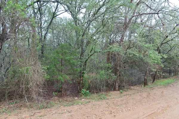 1035 Kawanui DR, Bastrop, TX 78602