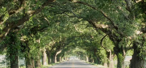 Top 10 Realtors in St. Bernard Parish, Louisiana (2026 Edition)