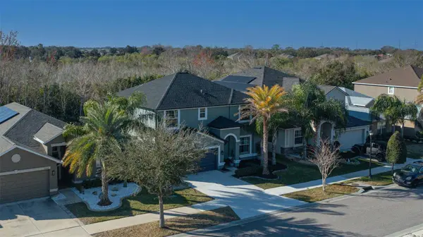 11508 MANSFIELD POINT DR, Riverview, FL 33569