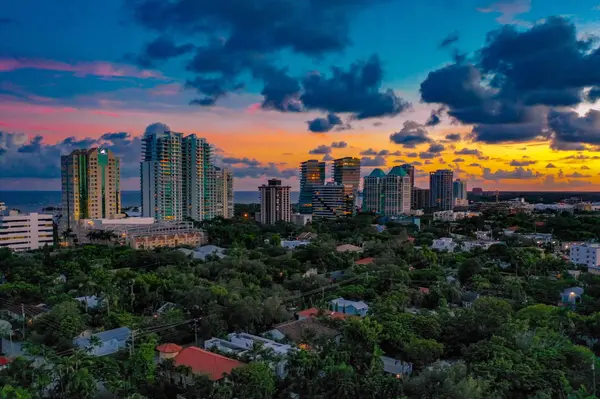 Coconut Grove vs. Brickell: Laid-Back Living or City Energy?,Barbara Ciaccio
