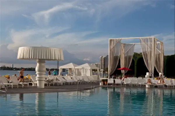 Invest Where It Counts: Airbnb-Approved Condos Across Miami,Barbara Ciaccio