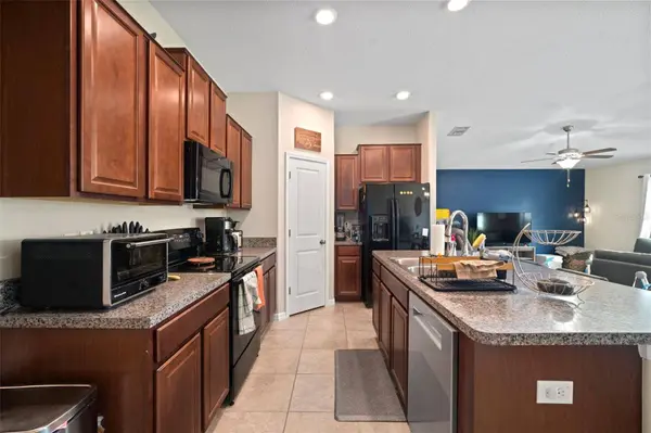 10118 CARLOWAY HILLS DR, Wimauma, FL 33598