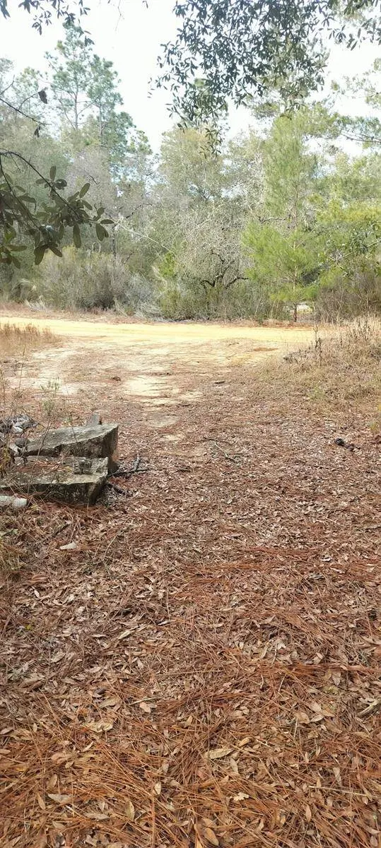 326 ELM TRL, Interlachen, FL 32148