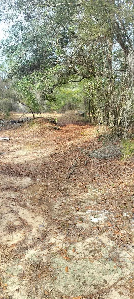 326 ELM TRL, Interlachen, FL 32148