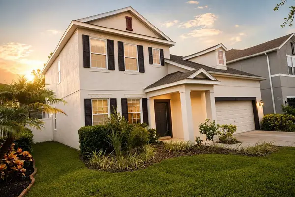 11543 TANGLE BRANCH LN, Gibsonton, FL 33534