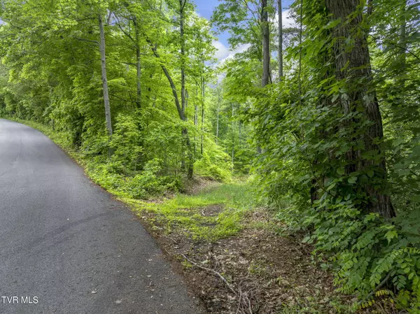 Tbd Water Tank Hill RD, Johnson City, TN 37604