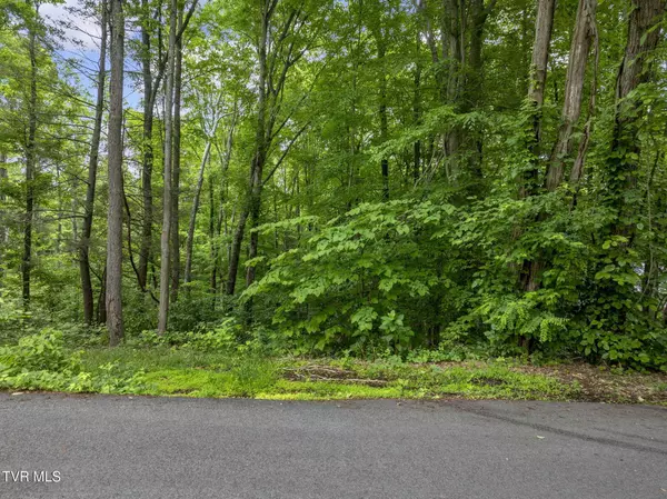 Tbd Water Tank Hill RD, Johnson City, TN 37604