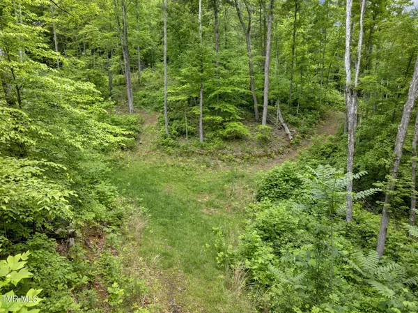 Tbd Water Tank Hill RD, Johnson City, TN 37604