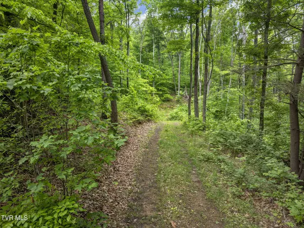 Tbd Water Tank Hill RD, Johnson City, TN 37604