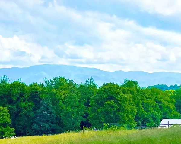 171 Garland RD, Limestone, TN 37681