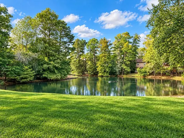 54 S Hidden View CIR, The Woodlands, TX 77381