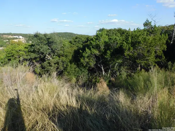 22202 ravine, San Antonio, TX 78255