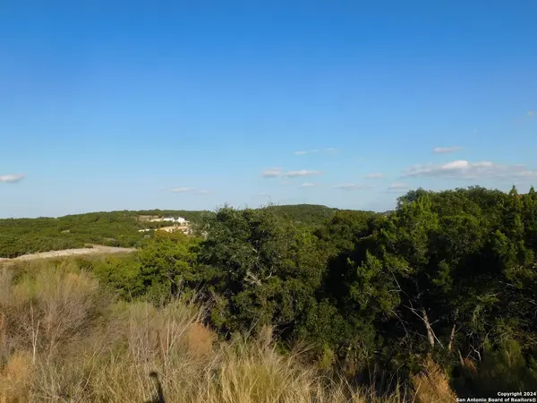 22202 ravine, San Antonio, TX 78255