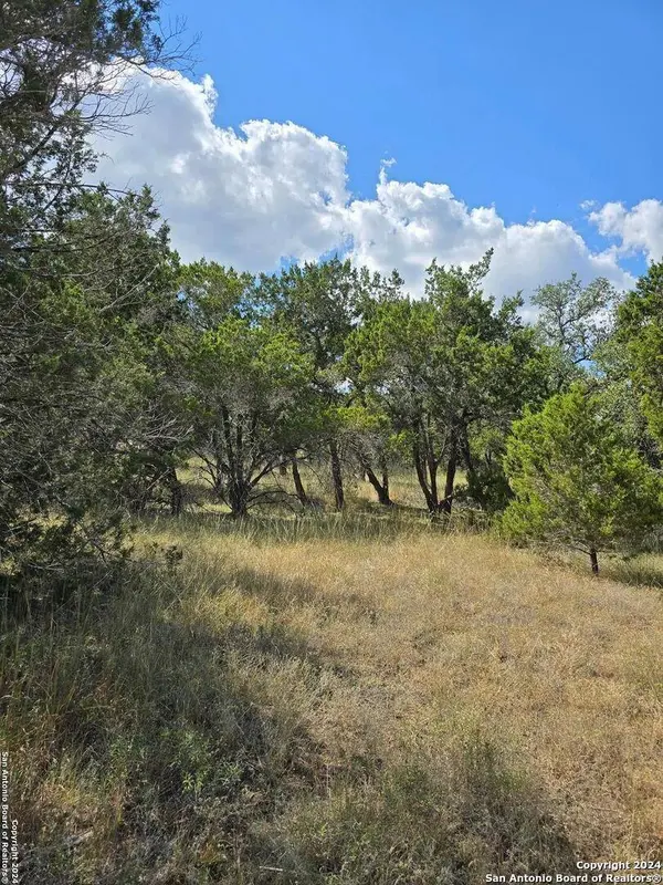 2142 Alto Lago, Canyon Lake, TX 78133