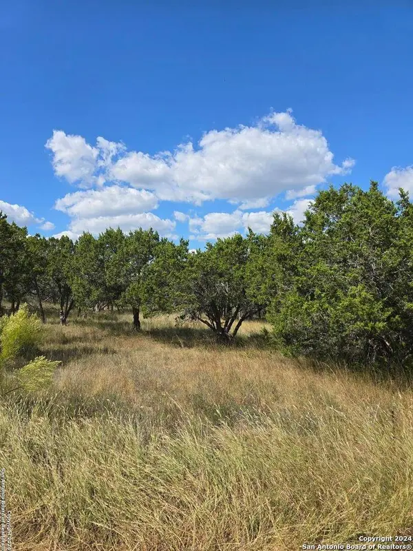 2142 Alto Lago, Canyon Lake, TX 78133