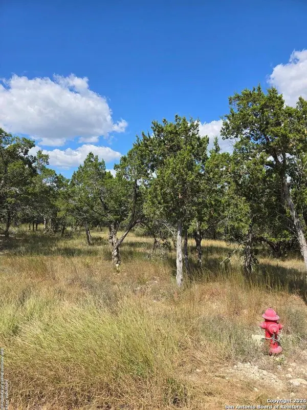 2142 Alto Lago, Canyon Lake, TX 78133