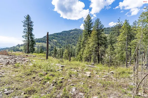 Lot 1 Red Hawk Landing, Sagle, ID 83860