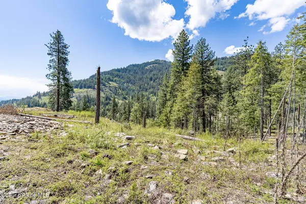 1 Red Hawk Landing, Sagle, ID 83860