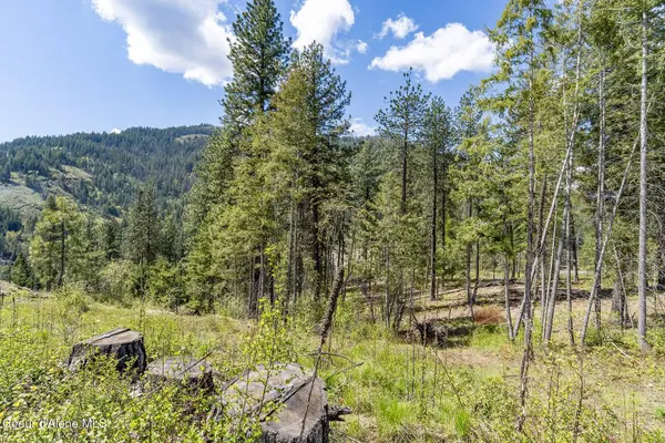 1 Red Hawk Landing, Sagle, ID 83860