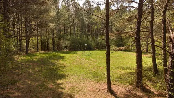 43162 LA 38 HWY, Franklinton, LA 70438