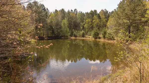 43162 LA 38 HWY, Franklinton, LA 70438