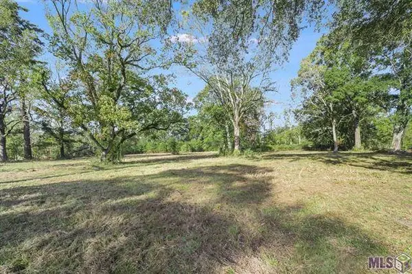30967 LA HIGHWAY 16, Denham Springs, LA 70726