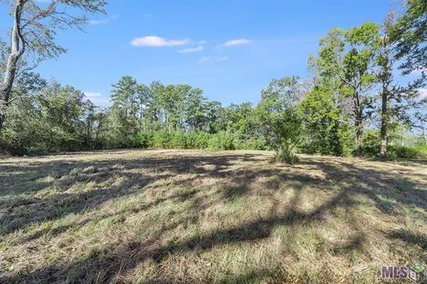 30967 LA HIGHWAY 16, Denham Springs, LA 70726