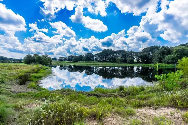 4149 Acr 2202, Palestine, TX 75803