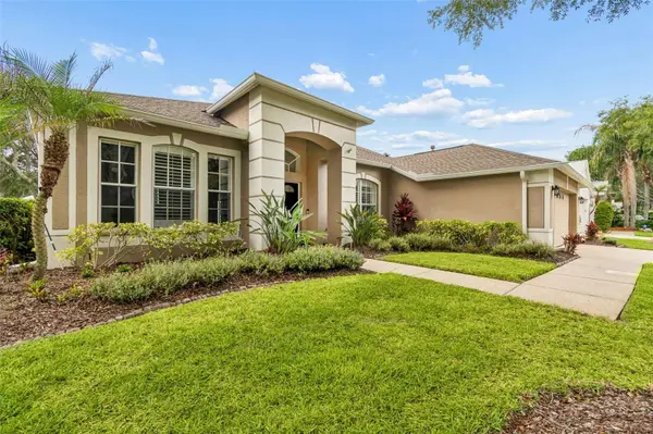 10229 QUAILS LANDING AVE, Tampa, FL 33647