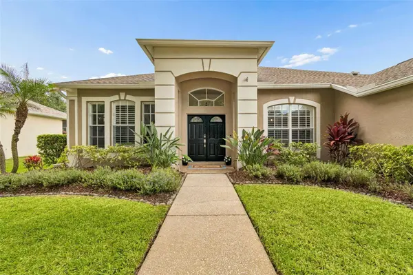 10229 QUAILS LANDING AVE, Tampa, FL 33647