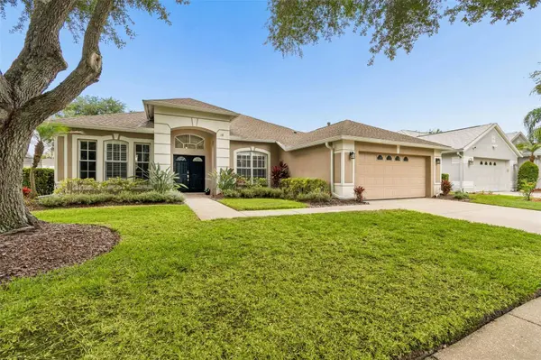 10229 QUAILS LANDING AVE, Tampa, FL 33647