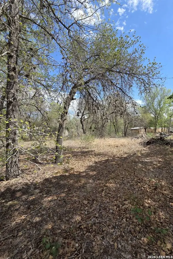 4510 Lost Hills, Elmendorf, TX 78112
