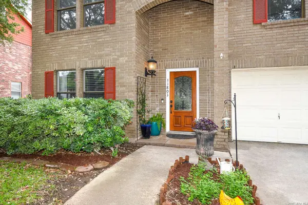 11803 Bridge Hampton, San Antonio, TX 78251