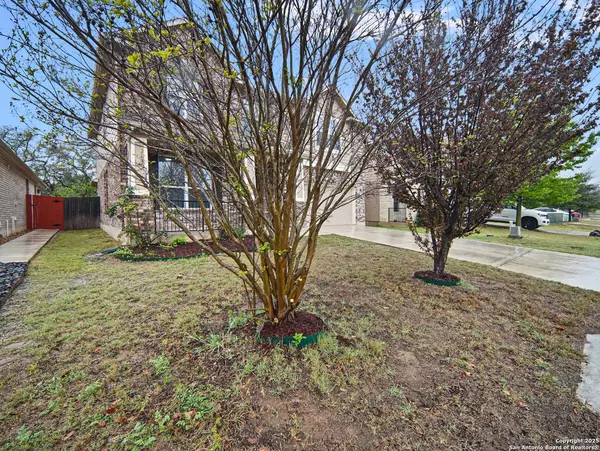 20115 Hillbrook, San Antonio, TX 78259