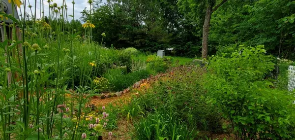 Garden Trends to Revamp Your Landscaping