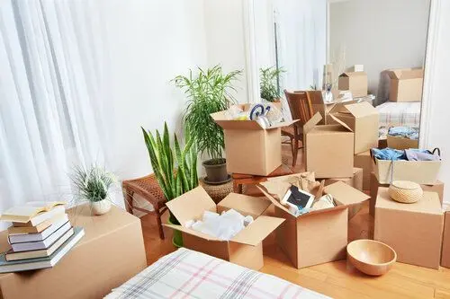 5 Ways to Make Your Next Move More Sustainable