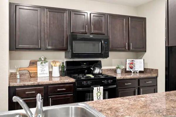 314 Moscovy Duck, San Antonio, TX 78253