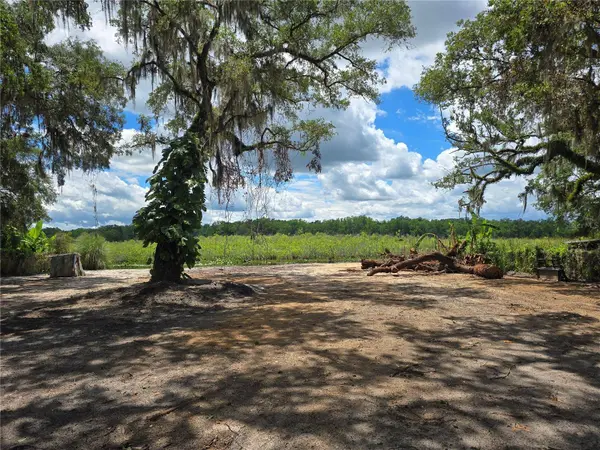 8306 E TURNER CAMP RD, Inverness, FL 34453