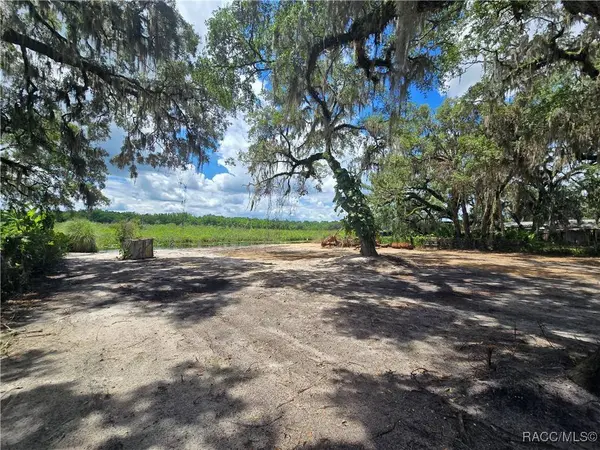 8306 E Turner Camp RD, Inverness, FL 34453