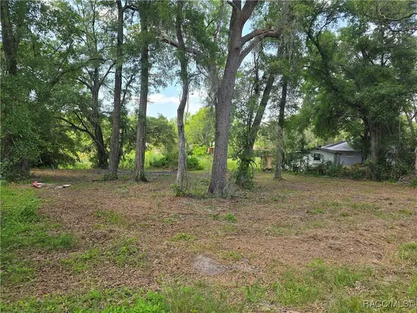 6532 N Iris DR, Hernando, FL 34442