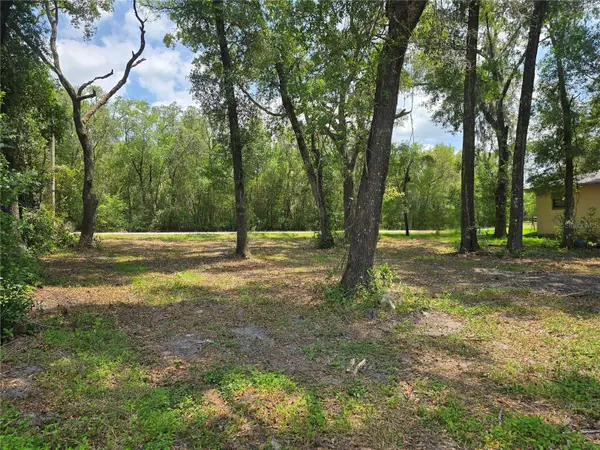 6532 N IRIS DR, Hernando, FL 34442