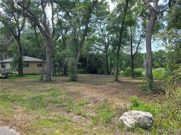 6532 N Iris DR, Hernando, FL 34442