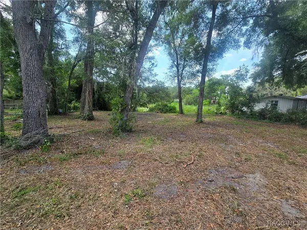 6532 N Iris DR, Hernando, FL 34442