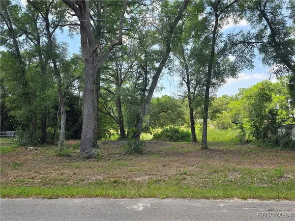 6532 N Iris DR, Hernando, FL 34442