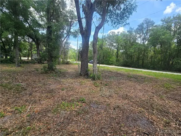 6532 N Iris DR, Hernando, FL 34442