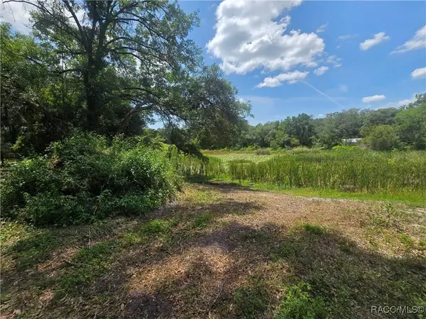 6532 N Iris DR, Hernando, FL 34442