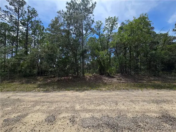 6468 N Baylor TER, Dunnellon, FL 34433