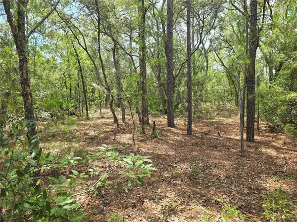 6468 N BAYLOR TER, Dunnellon, FL 34433